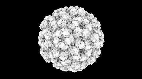 3D CG rendered image of Brome Mosaic Virus capsid (Surface Style - Monochrome) Stock Illustration