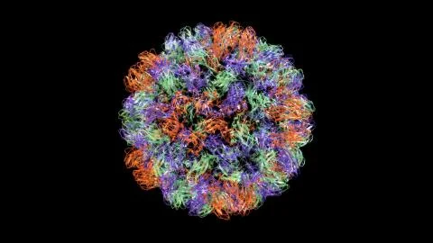 3D CG rendered image of Brome Mosaic Virus capsid (Ribbon Style) Stock Illustration