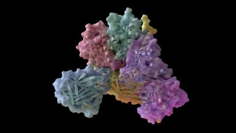 3D CG rendered image of Enterobacteria Bacteriophage phiX174 Capsid Foto stock