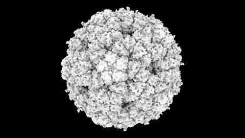 3D CG rendered image of Enterobacteria Bacteriophage phiX174 Capsid Stock Photos