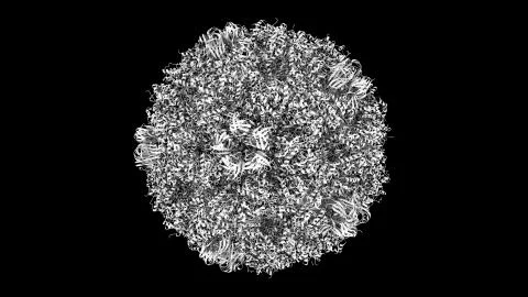 3D CG rendered image of Enterobacteria Bacteriophage phiX174 Capsid Stock Photos