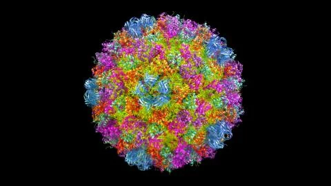 3D CG rendered image of Enterobacteria Bacteriophage phiX174 Capsid Stock Photos