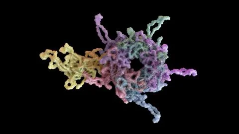 3D CG rendered image of Human Papilloma Virus (HPV) Capsid Illustrazione stock