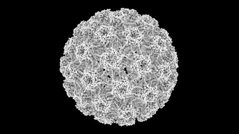 3D CG rendered image of Human Papilloma Virus (HPV) Capsid Stock Illustration