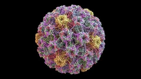 3D CG rendered image of Human Papilloma Virus (HPV) Capsid Illustrazione stock