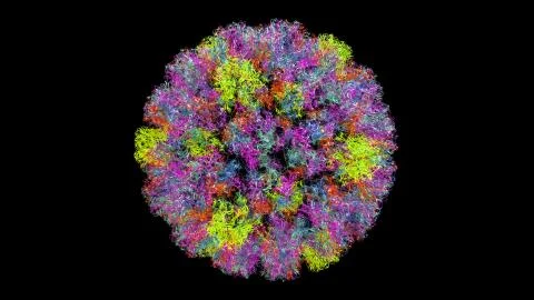 3D CG rendered image of Human Papilloma Virus (HPV) Capsid Stock Illustration