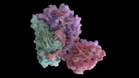 3D CG rendered image of Human Rhino Virus (common cold virus) Stock Illustration