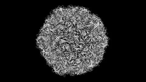 3D CG rendered image of Human Rhino Virus (common cold virus) Stock Illustration