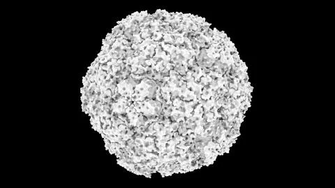 3D CG rendered image of Human Rhino Virus (common cold virus) Stock Illustration