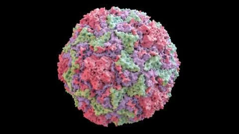 3D CG rendered image of Human Rhino Virus (common cold virus) Stock Illustration