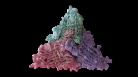 3D CG rendered image of Nodamura Virus (Nodaviridae) Capsomere Stock Illustration