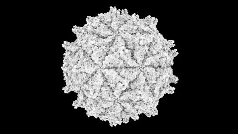 3D CG rendered image of Nodamura Virus (Nodaviridae) Capsid Stock Illustration