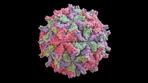 3D CG rendered image of Nodamura Virus (Nodaviridae) Capsid Stock Illustration