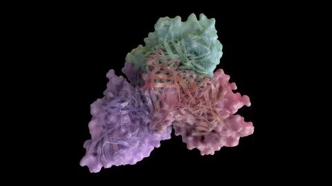 3D CG rendered image of Norwalk Virus (Norovirus) Capsomere Stock Illustration