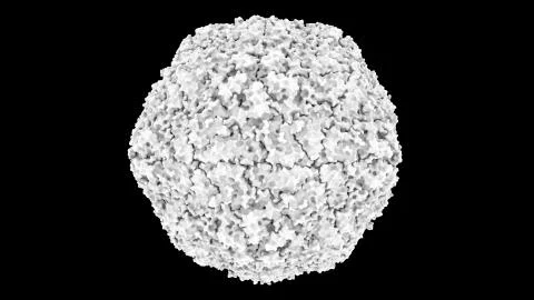 3D CG rendered image of scientifically accurate Hepatitis A Virus Capsid based o Stock Illustration