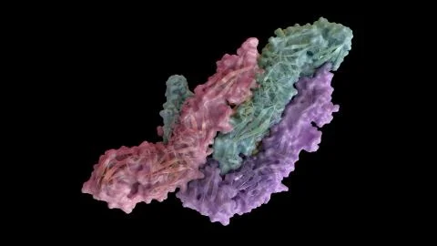 3D CG rendered image of scientifically accurate Zika Virus Envelope Stock Illustration