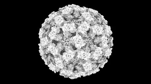 3D CG rendered image of scientifically accurate Norwalk Virus (Norovirus) Capsid Stock Illustration
