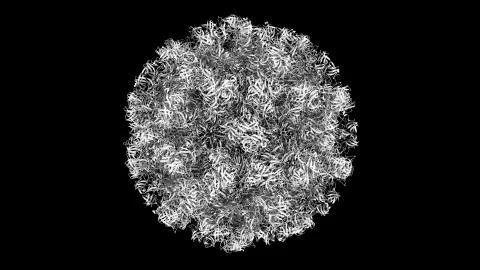 3D CG rendered image of scientifically accurate Norwalk Virus (Norovirus) Capsid Stock Illustration