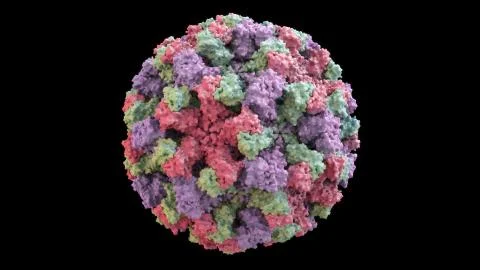3D CG rendered image of scientifically accurate Norwalk Virus (Norovirus) Capsid Stock Illustration
