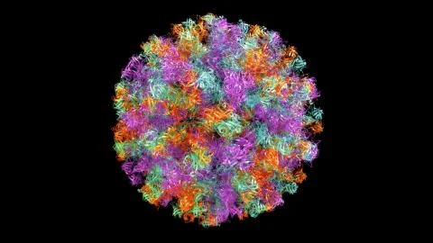 3D CG rendered image of scientifically accurate Norwalk Virus (Norovirus) Capsid Stock Illustration