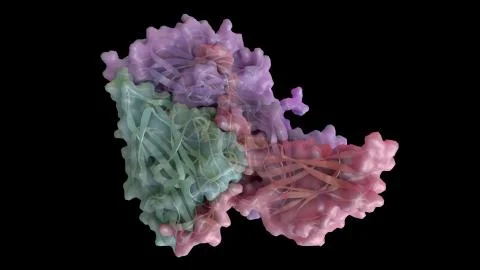 3D CG rendered image of scientifically accurate Polio Virus Capsomere Stock Illustration