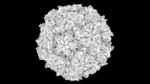 3D CG rendered image of scientifically accurate Polio Virus Capsid Stock Illustration