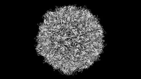 3D CG rendered image of scientifically accurate Polio Virus Capsid Stock Illustration
