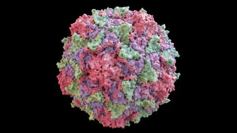 3D CG rendered image of scientifically accurate Polio Virus Capsid Stock Illustration