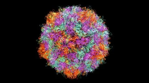 3D CG rendered image of scientifically accurate Polio Virus Capsid Stock Illustration