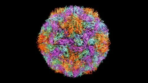 3D CG rendered image of scientifically accurate Hepatitis A Virus Capsid based o Stock Photos