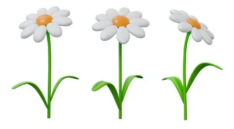 3d chamomile. Daisy flower in grass, cute spring white garden or colorful plant Ilustração Stock