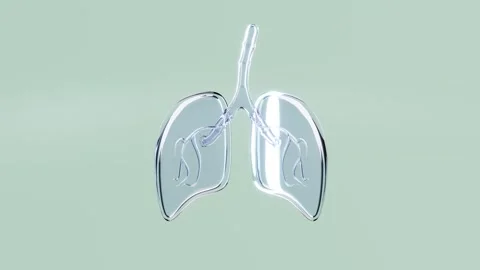 3d Chest X ray or CXR with human realistic lung transparent isolated on gre.. Stock Footage 304210049