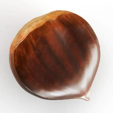 3D of a chestnut on a white background Illustrazione stock