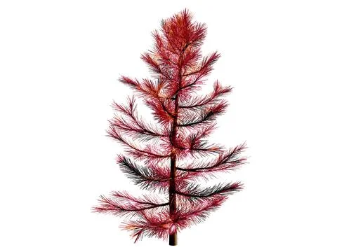 3D Christmas tree or pine tree 3D ready to decorate , isolated on transparent Illustrazione stock