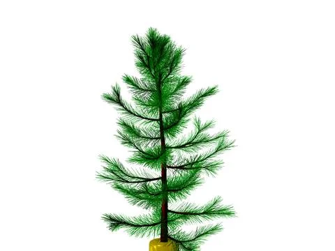 3D Christmas tree or pine tree 3D ready to decorate , isolated on transparent Illustrazione stock