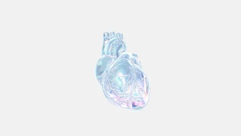 3D Chroma Human Heart Beating Alpha Channel Stock Footage 121606026