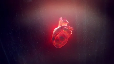 3D Concept Of Human Heart Stock Footage 243555859