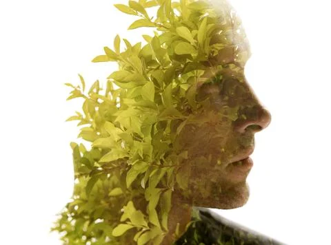 A 3D conceptual double exposure full front male portrait. Stock Photos