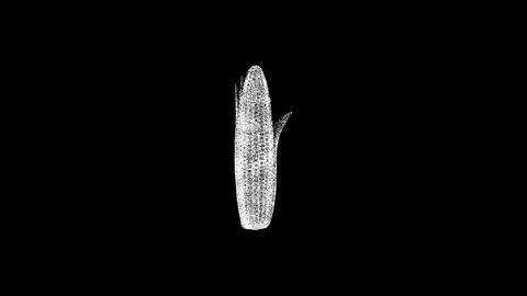 3D corn start on black bg. Object dissolved white flickering particles. Bus.. Illustrazione stock