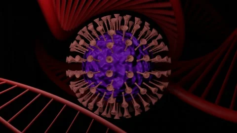 3D Coronavirus Cell Animation. COVID-19 Global Pandemic Concept. 4K Stock Footage 202131237
