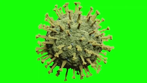 3D Coronavirus Model Rotating on Green Screen Chroma Key Stock Footage 336598377