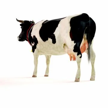 3d cow render on white background Stock Illustration