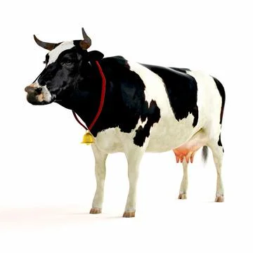 3d cow render on white background Stock Illustration
