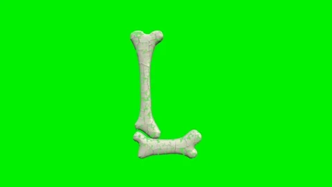 3d cracked bone alphabet letters animation on green screen background Video stock 335395704