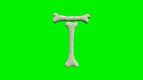 3d cracked bone alphabet letters animation on green screen background Stock Footage 335395782