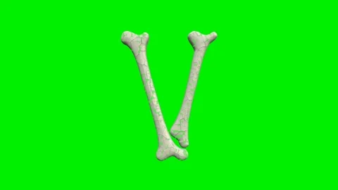 3d cracked bone alphabet letters animation on green screen background Video stock 335395828