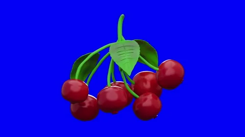 3D Cranberry Fruit Bunch Looping Animation Rotating on Blue Screen, Realistic Re Stock Footage 344547001