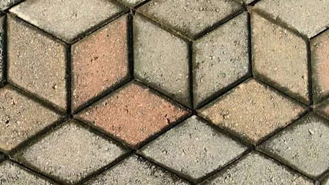 3D cube shaped paving blocks on the garden path Stock Footage 308990043
