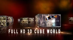 3D Cube World Stock After Effects