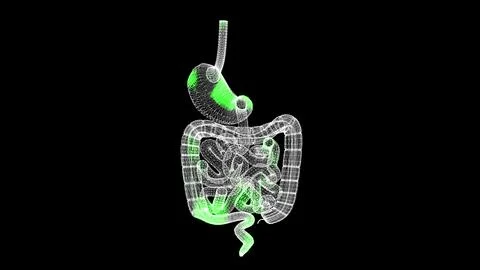 3D Cure of the gastrointestinal tract. The process of treating the stomach... Stock Illustration